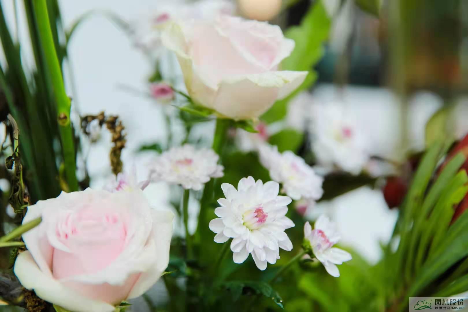 亚洲精品白浆高清久久久久久