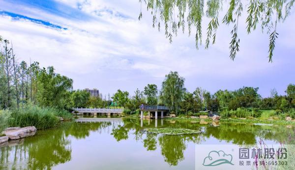 亚洲精品白浆高清久久久久久