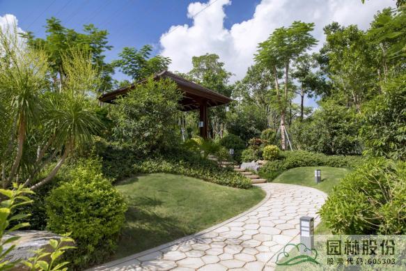 亚洲精品白浆高清久久久久久