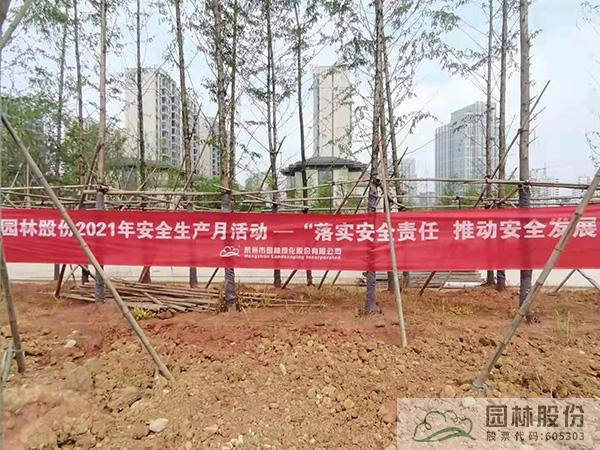 亚洲精品白浆高清久久久久久