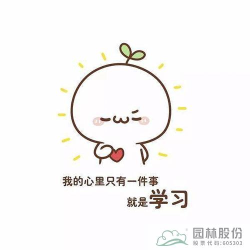 亚洲精品白浆高清久久久久久