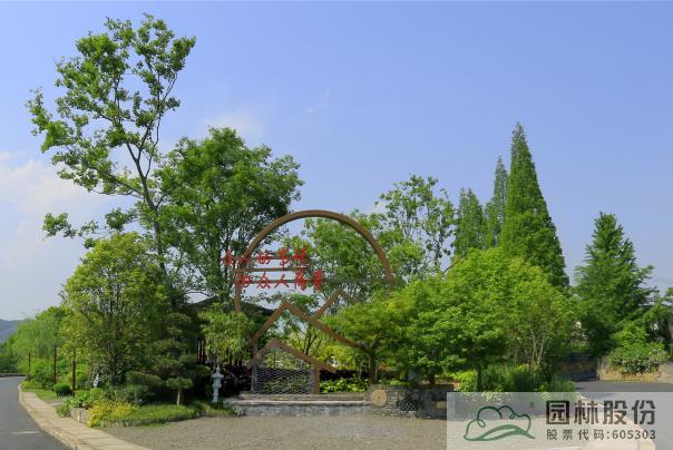 亚洲精品白浆高清久久久久久