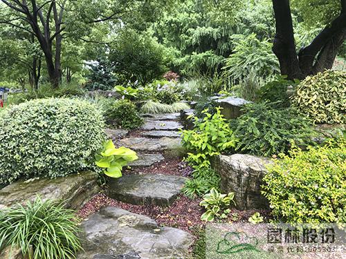 亚洲精品白浆高清久久久久久