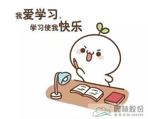 亚洲精品白浆高清久久久久久