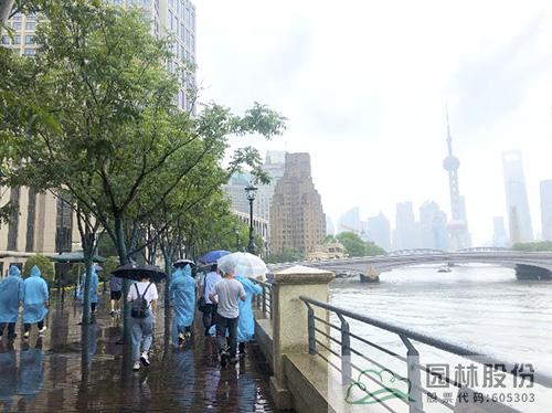 亚洲精品白浆高清久久久久久