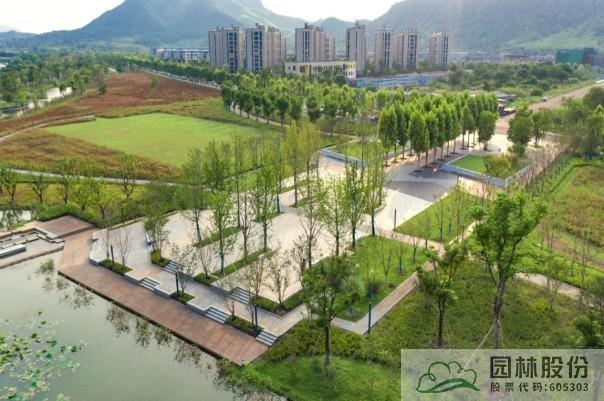 亚洲精品白浆高清久久久久久