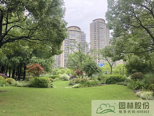 亚洲精品白浆高清久久久久久