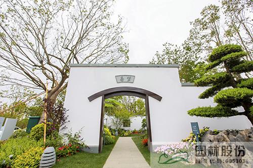 亚洲精品白浆高清久久久久久