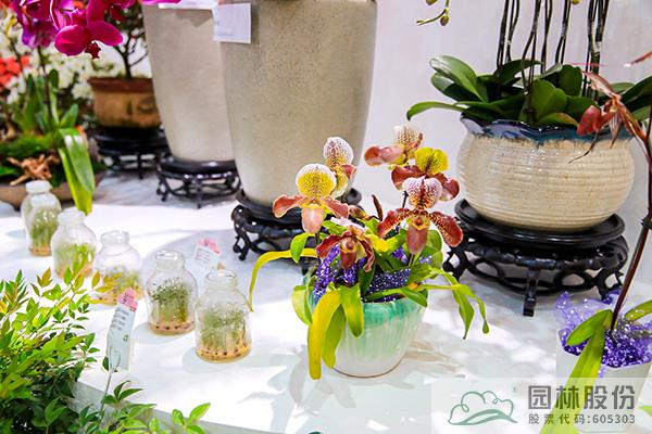 亚洲精品白浆高清久久久久久