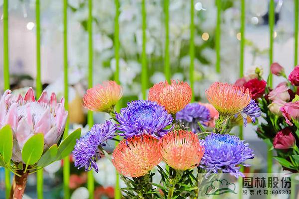 亚洲精品白浆高清久久久久久