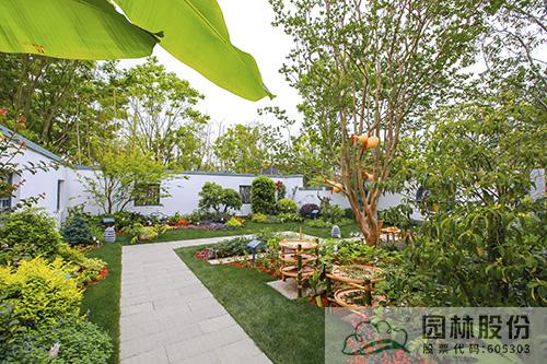 亚洲精品白浆高清久久久久久