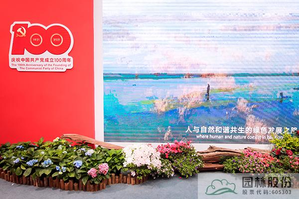 亚洲精品白浆高清久久久久久