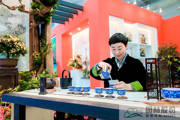 亚洲精品白浆高清久久久久久