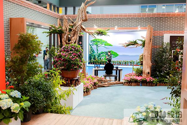 亚洲精品白浆高清久久久久久