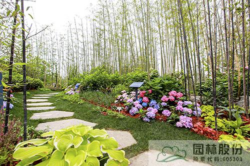 亚洲精品白浆高清久久久久久