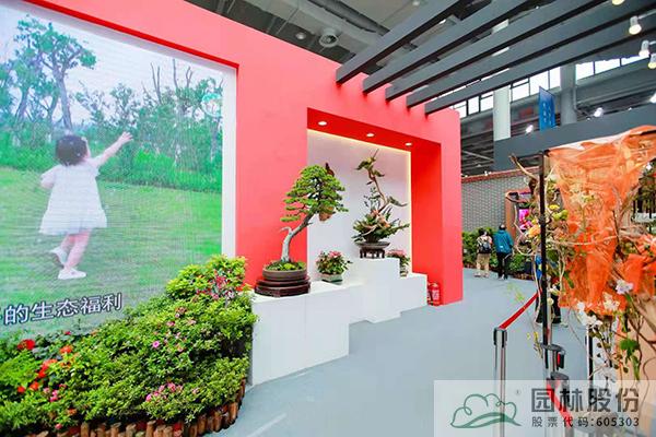 亚洲精品白浆高清久久久久久