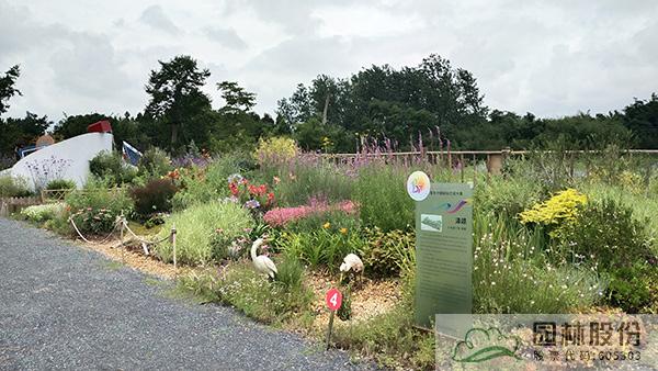 亚洲精品白浆高清久久久久久