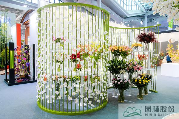 亚洲精品白浆高清久久久久久