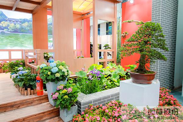 亚洲精品白浆高清久久久久久