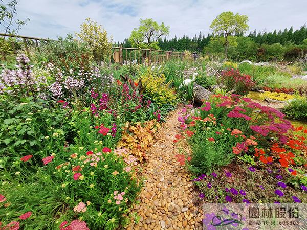 亚洲精品白浆高清久久久久久