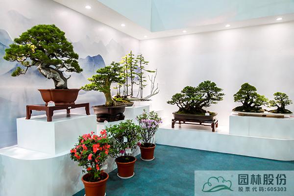 亚洲精品白浆高清久久久久久