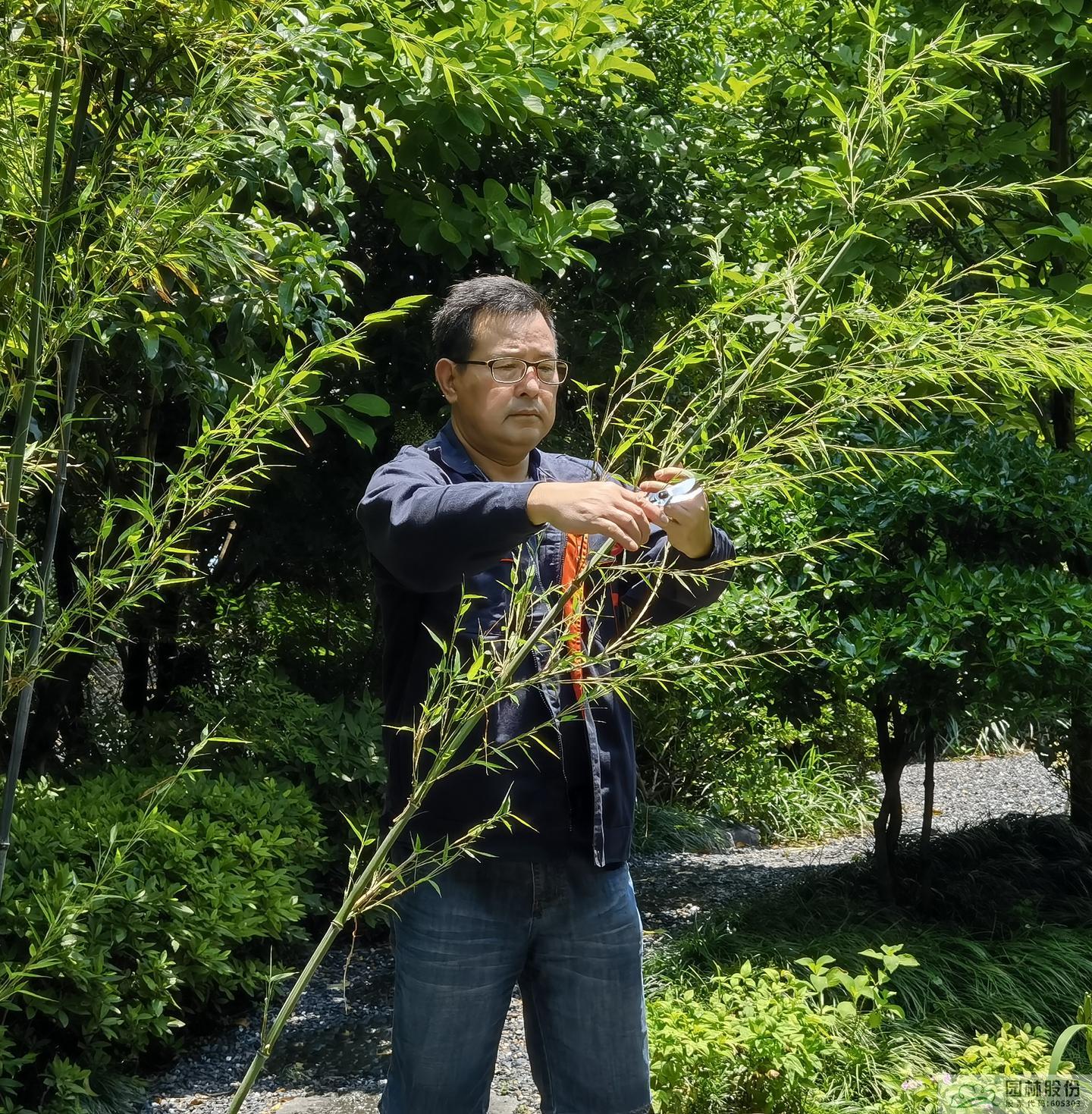 亚洲精品白浆高清久久久久久