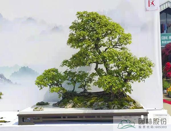 亚洲精品白浆高清久久久久久