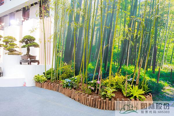 亚洲精品白浆高清久久久久久