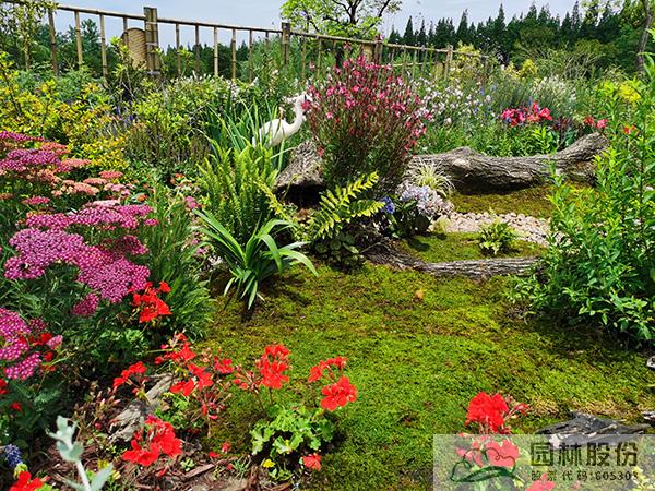 亚洲精品白浆高清久久久久久