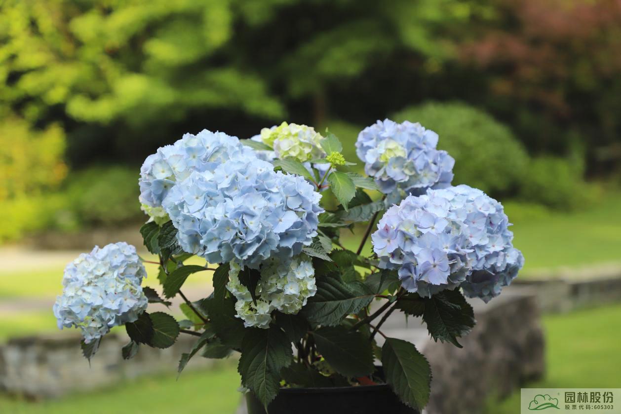 亚洲精品白浆高清久久久久久