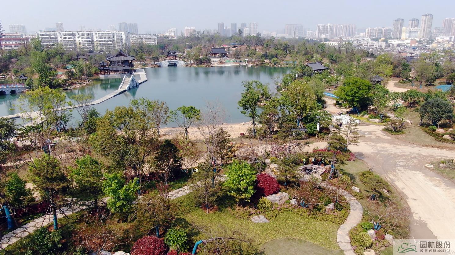 亚洲精品白浆高清久久久久久