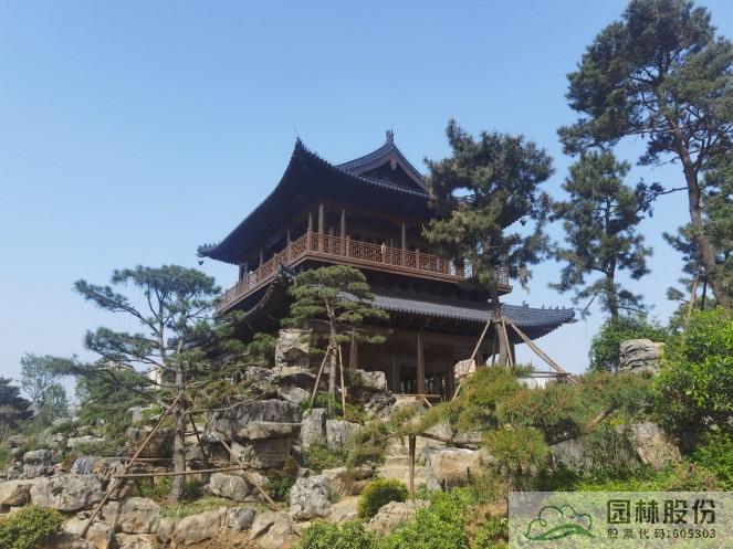 亚洲精品白浆高清久久久久久