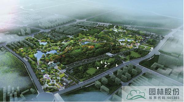 亚洲精品白浆高清久久久久久