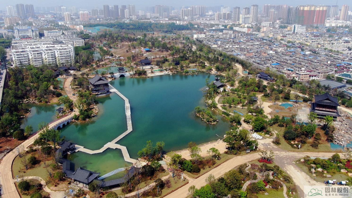 亚洲精品白浆高清久久久久久