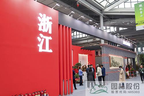 亚洲精品白浆高清久久久久久