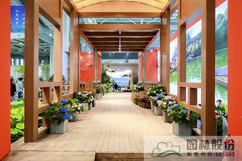 亚洲精品白浆高清久久久久久