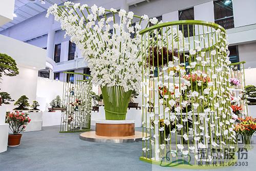 亚洲精品白浆高清久久久久久