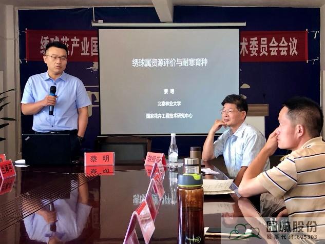 亚洲精品白浆高清久久久久久