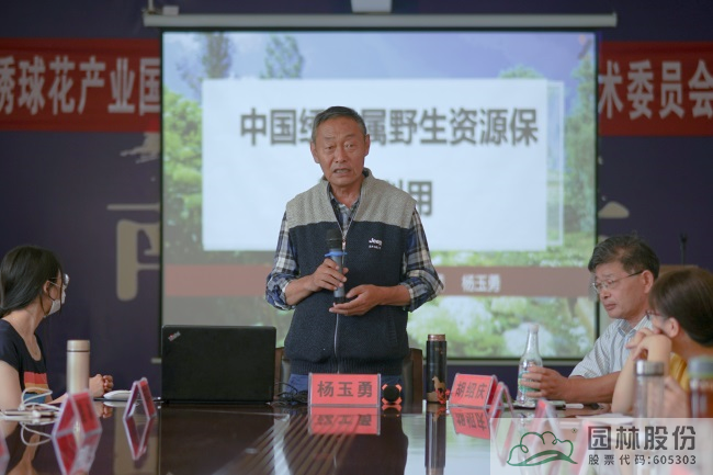 亚洲精品白浆高清久久久久久