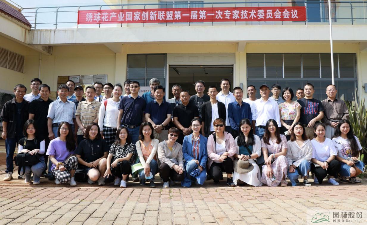 亚洲精品白浆高清久久久久久