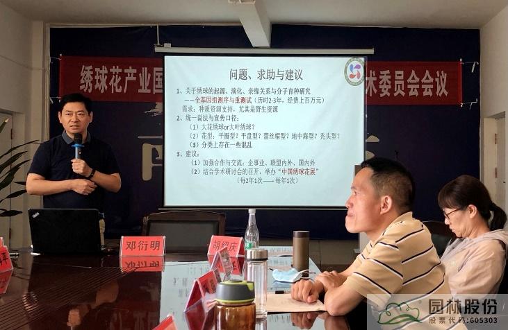 亚洲精品白浆高清久久久久久