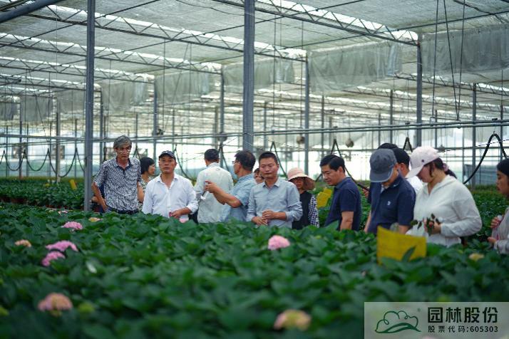 亚洲精品白浆高清久久久久久