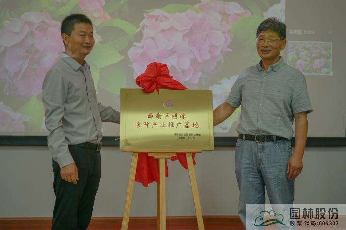 亚洲精品白浆高清久久久久久