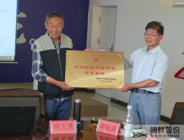 亚洲精品白浆高清久久久久久