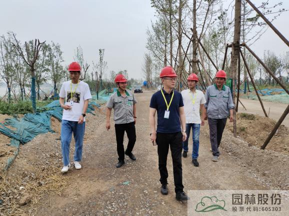 亚洲精品白浆高清久久久久久