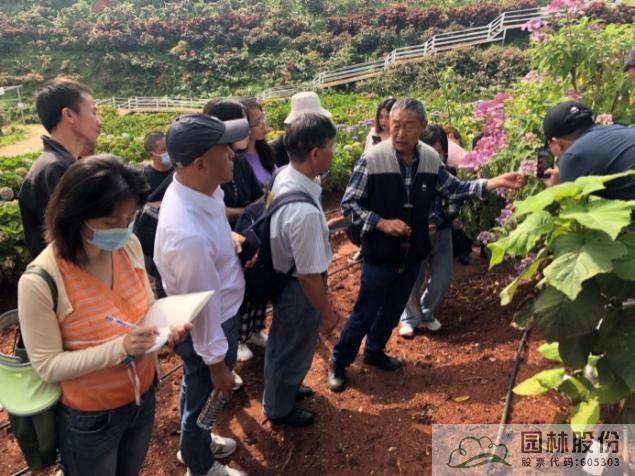 亚洲精品白浆高清久久久久久