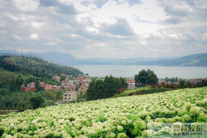 亚洲精品白浆高清久久久久久