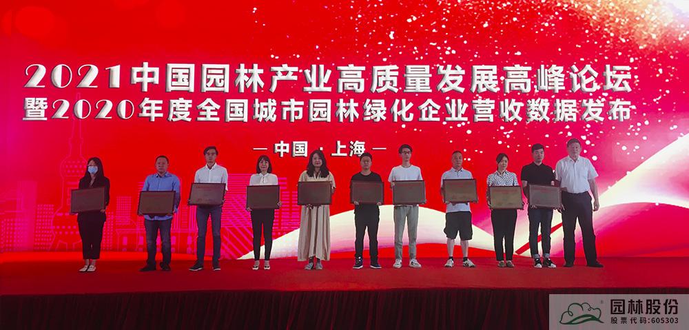 亚洲精品白浆高清久久久久久