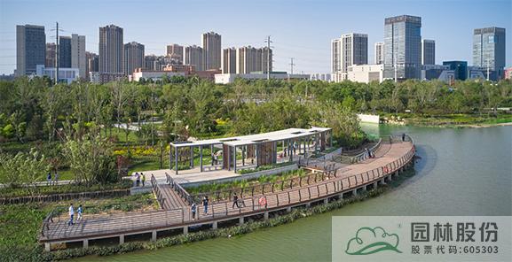 亚洲精品白浆高清久久久久久