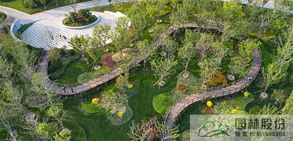 亚洲精品白浆高清久久久久久